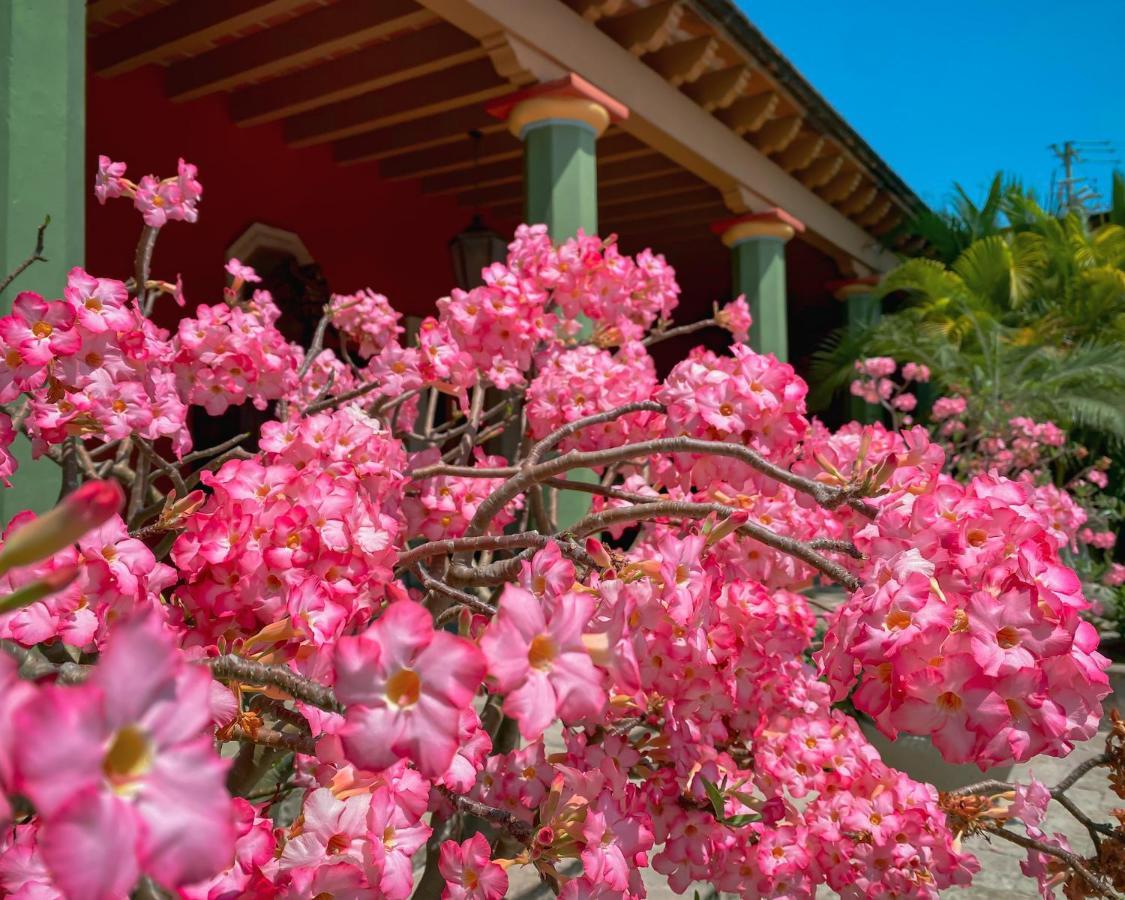 Hacienda De Los Santos Álamos Exterior foto